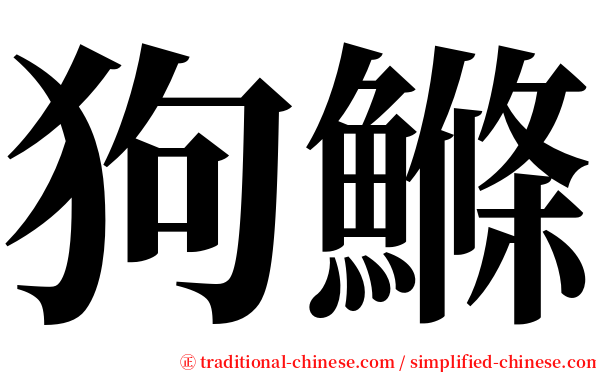 狗鰷 serif font