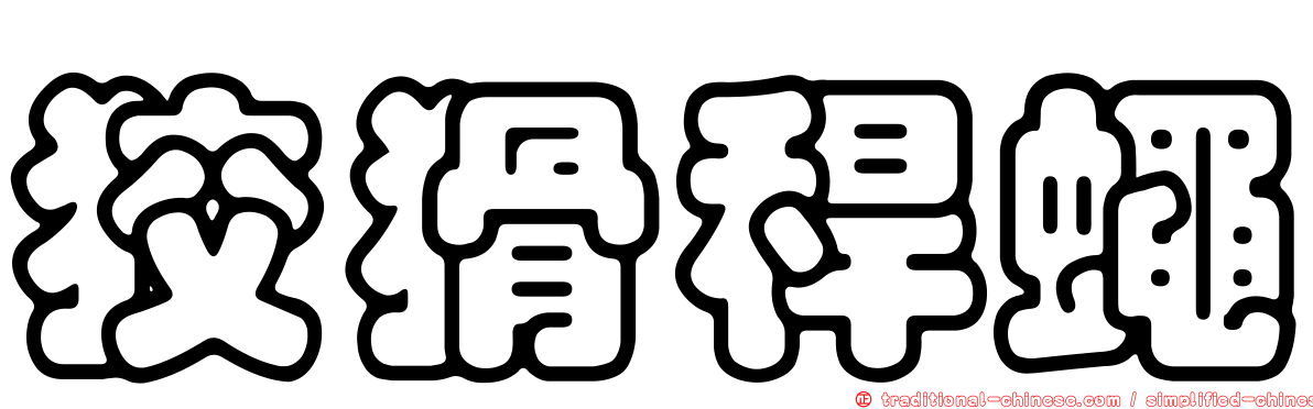 狡猾稈蠅
