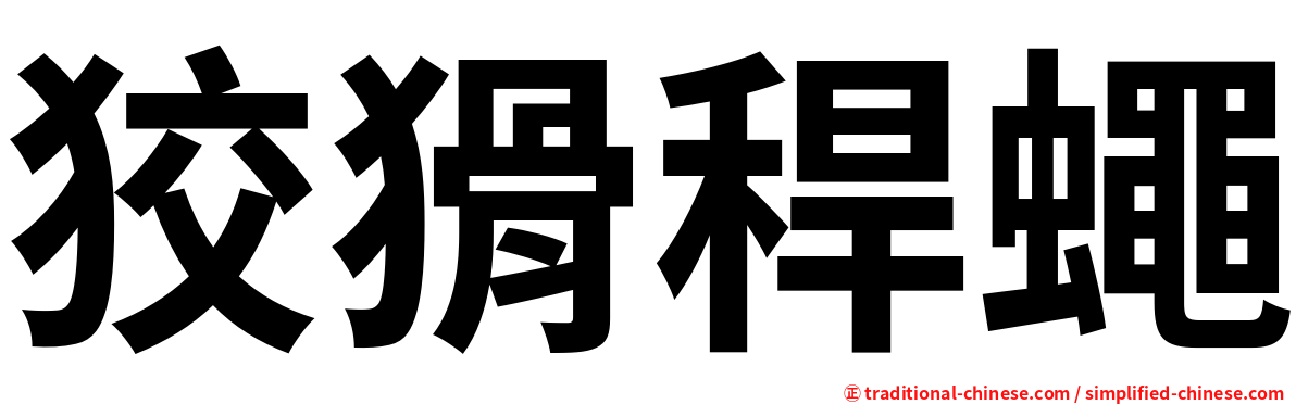狡猾稈蠅