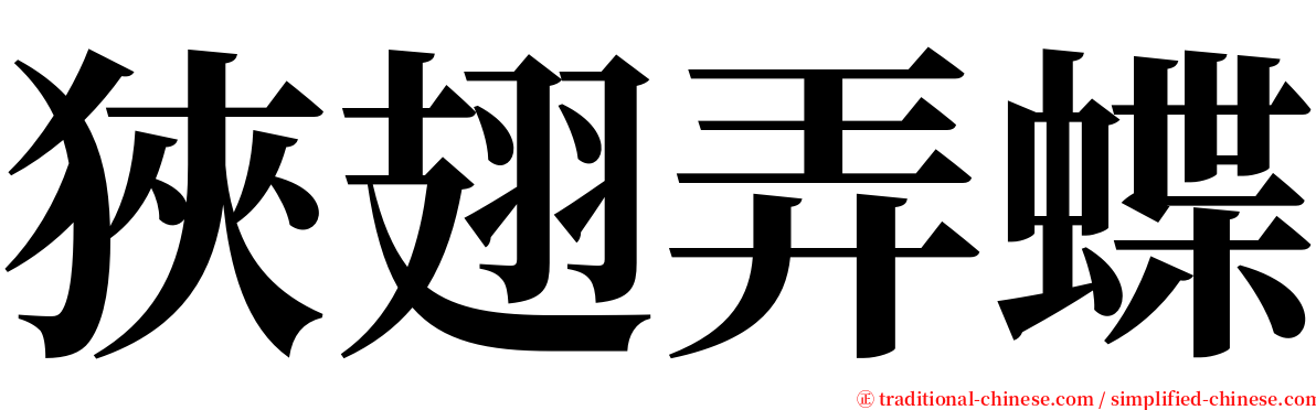 狹翅弄蝶 serif font