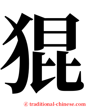 猑 serif font