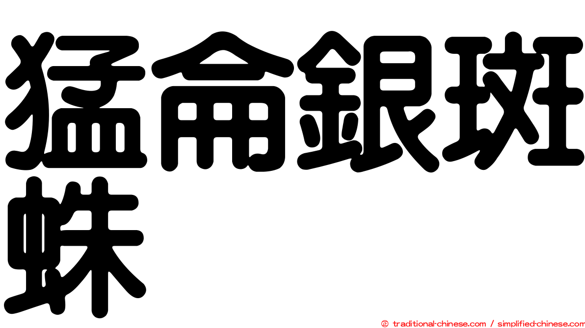 猛侖銀斑蛛