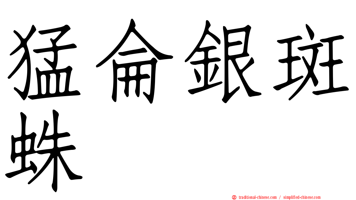 猛侖銀斑蛛