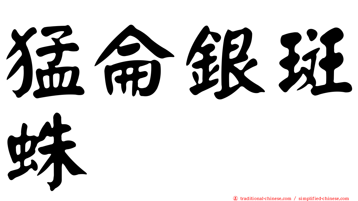 猛侖銀斑蛛