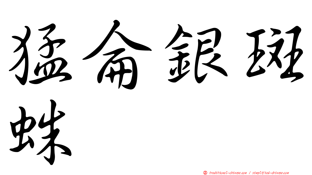 猛侖銀斑蛛