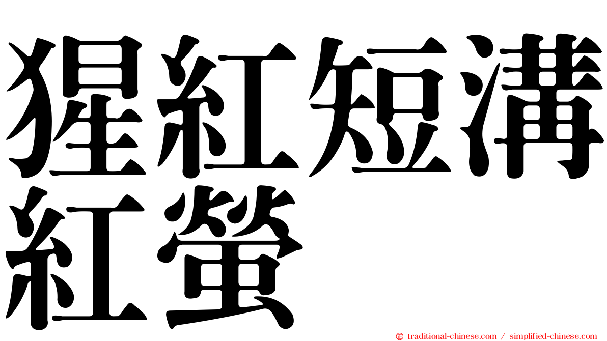 猩紅短溝紅螢