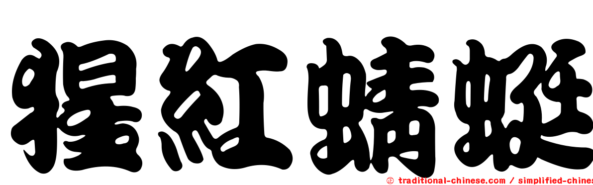 猩紅蜻蜓