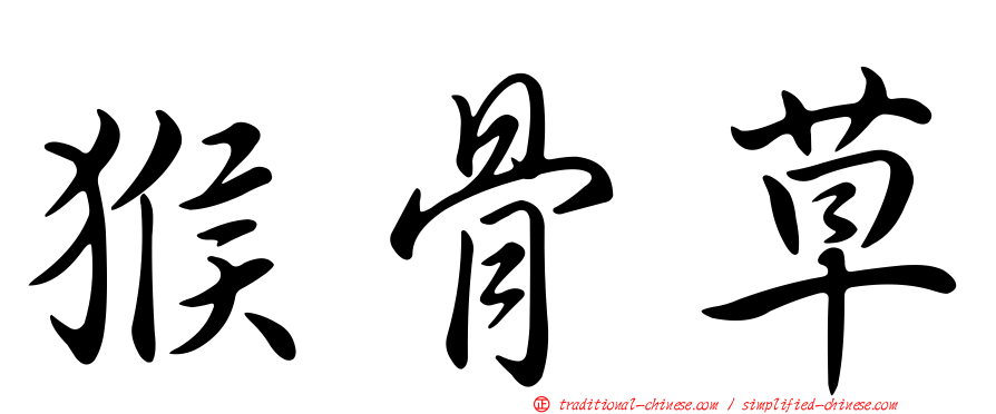 猴骨草