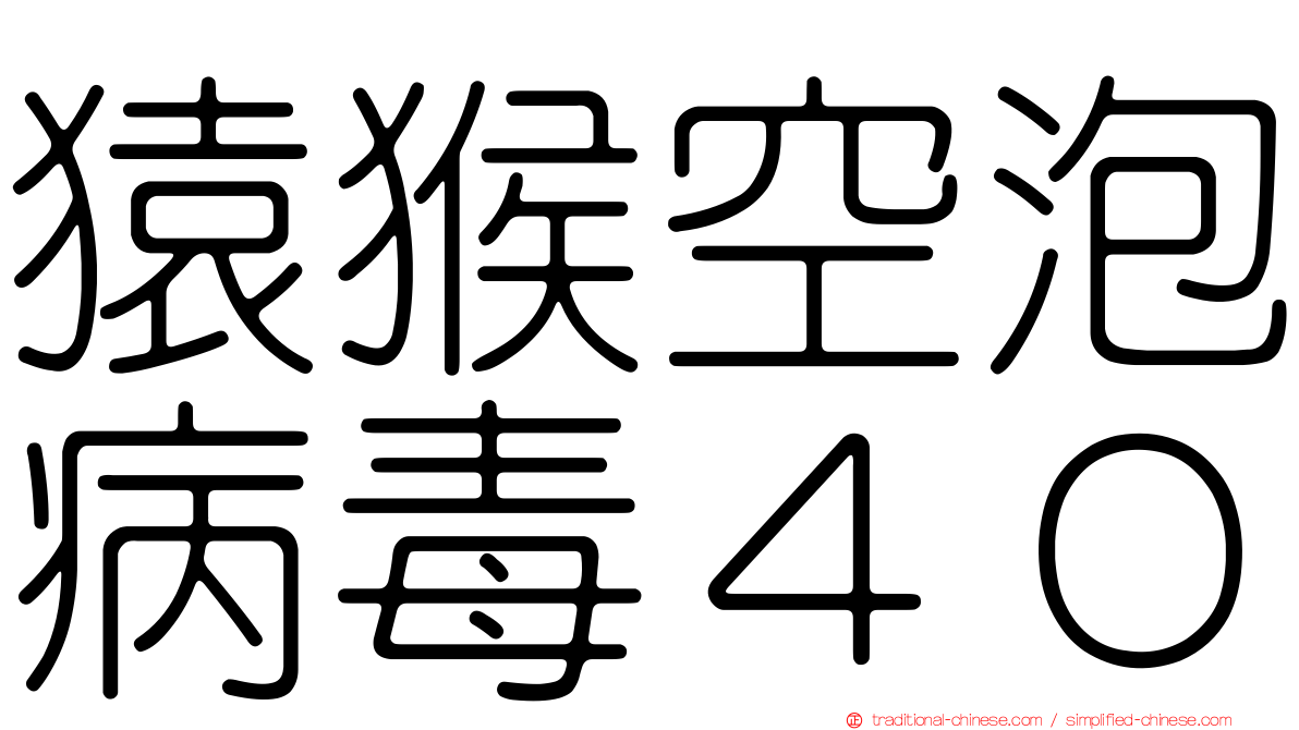 猿猴空泡病毒４０