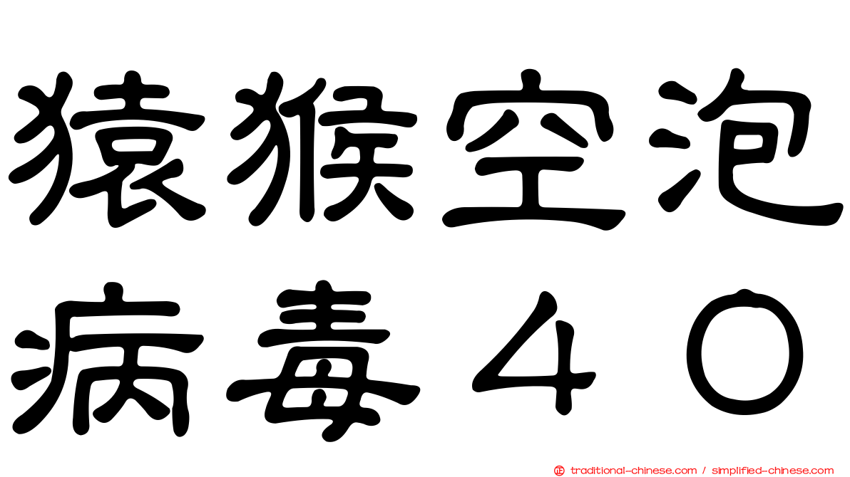 猿猴空泡病毒４０