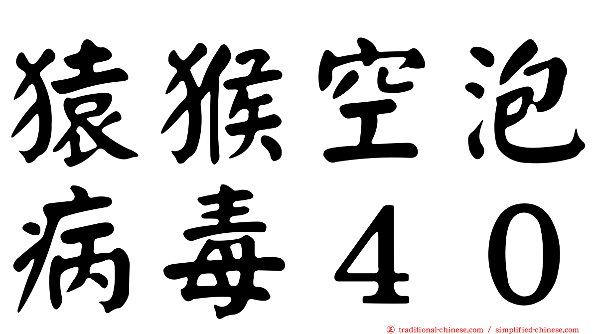 猿猴空泡病毒４０