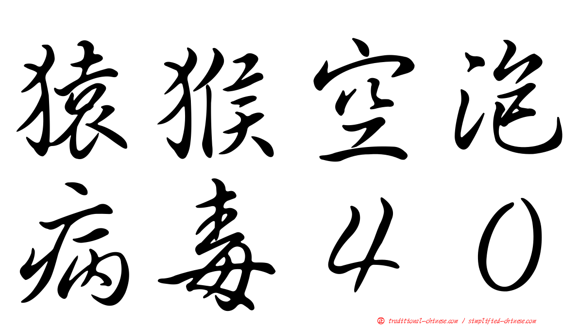 猿猴空泡病毒４０