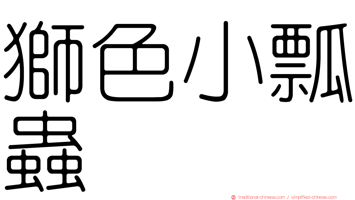 獅色小瓢蟲