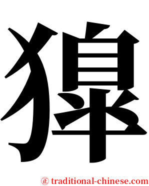獋 serif font