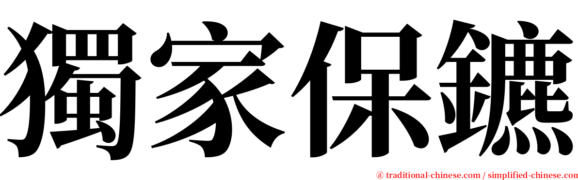 獨家保鑣 serif font