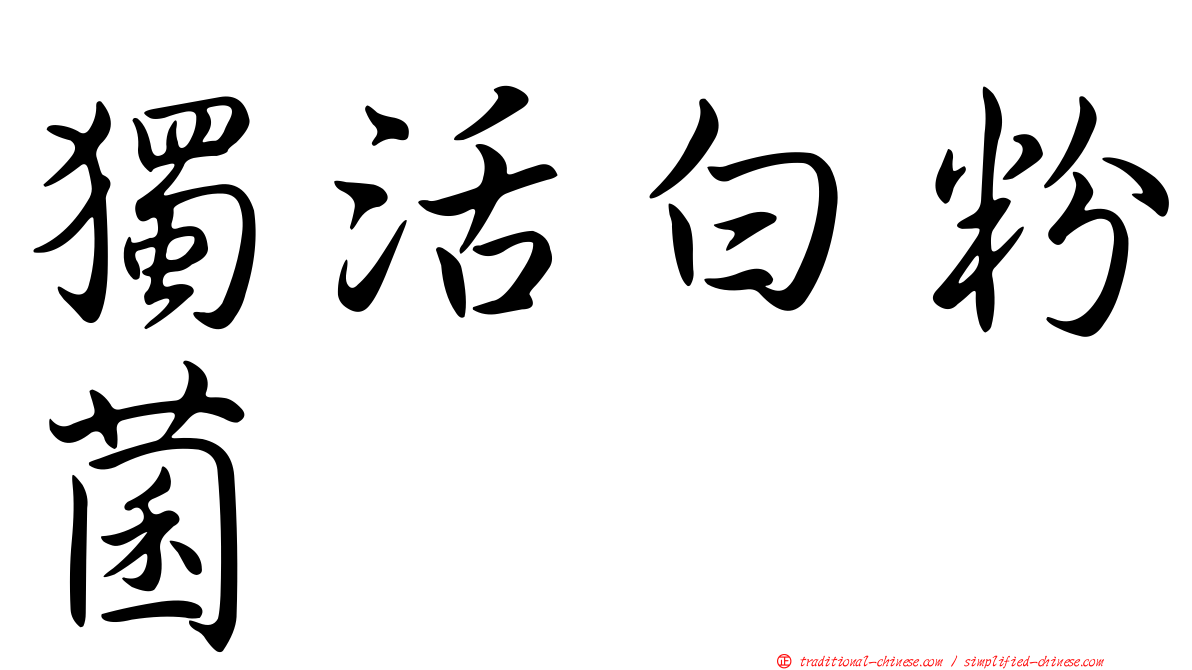 獨活白粉菌