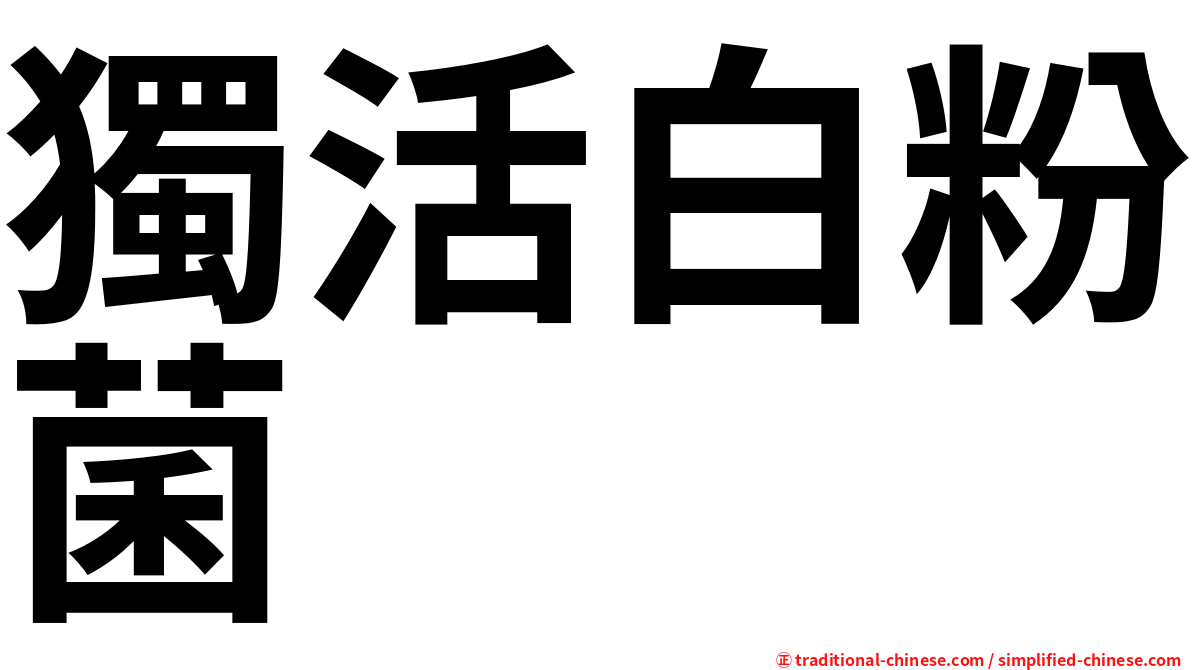 獨活白粉菌