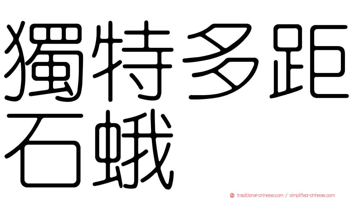 獨特多距石蛾