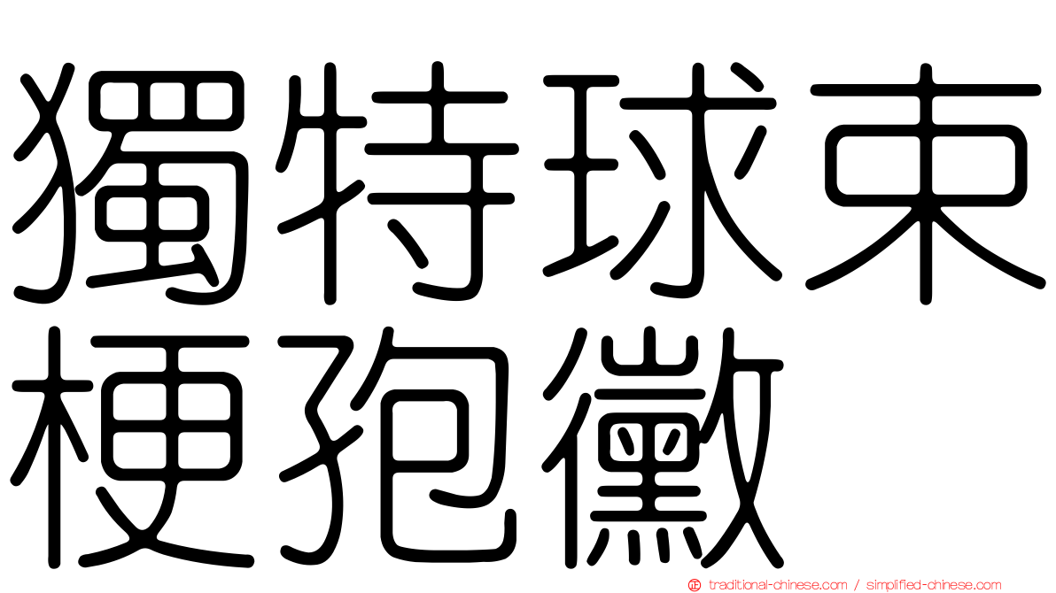 獨特球束梗孢黴