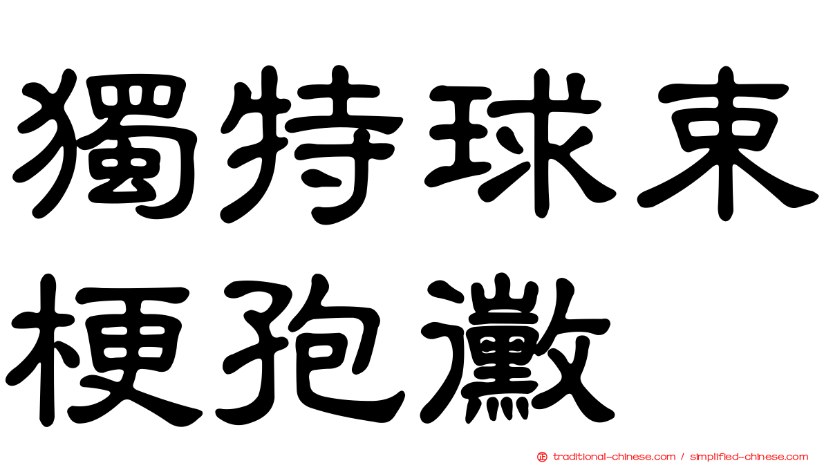 獨特球束梗孢黴