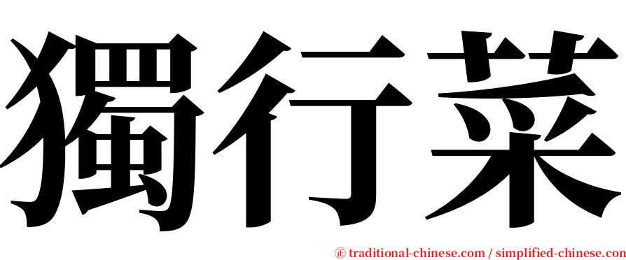 獨行菜 serif font