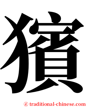 獱 serif font