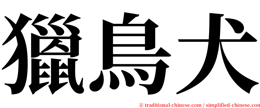獵鳥犬 serif font