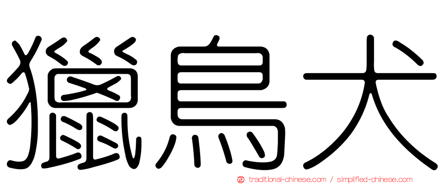 獵鳥犬