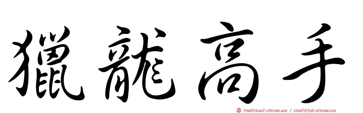 獵龍高手