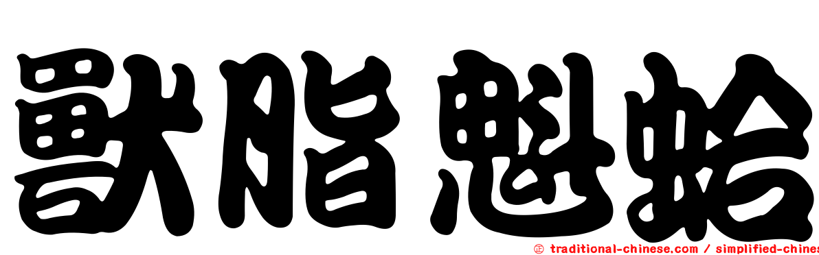 獸脂魁蛤