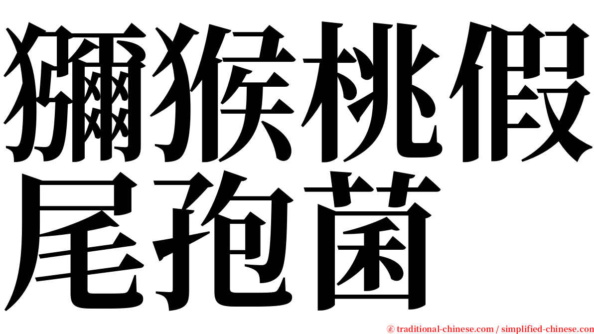獼猴桃假尾孢菌 serif font