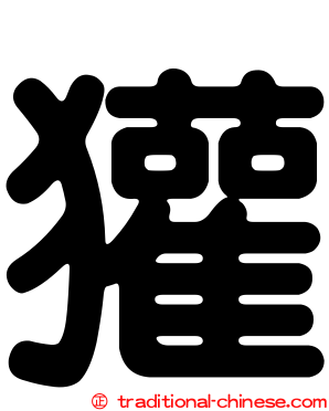獾