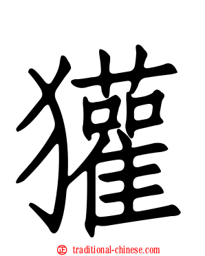 獾