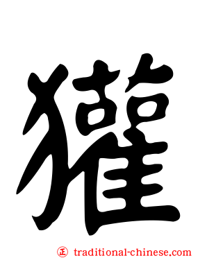 獾