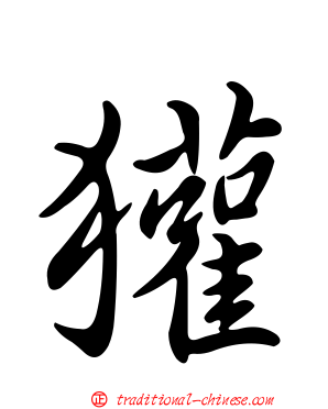 獾