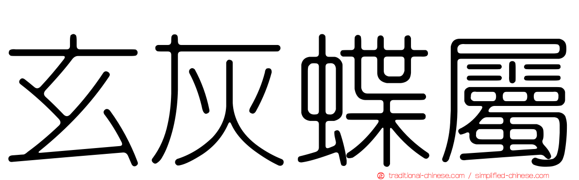 玄灰蝶屬