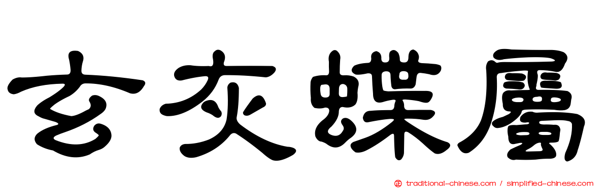 玄灰蝶屬