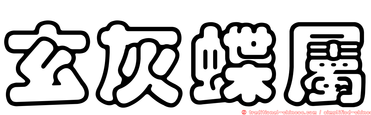 玄灰蝶屬
