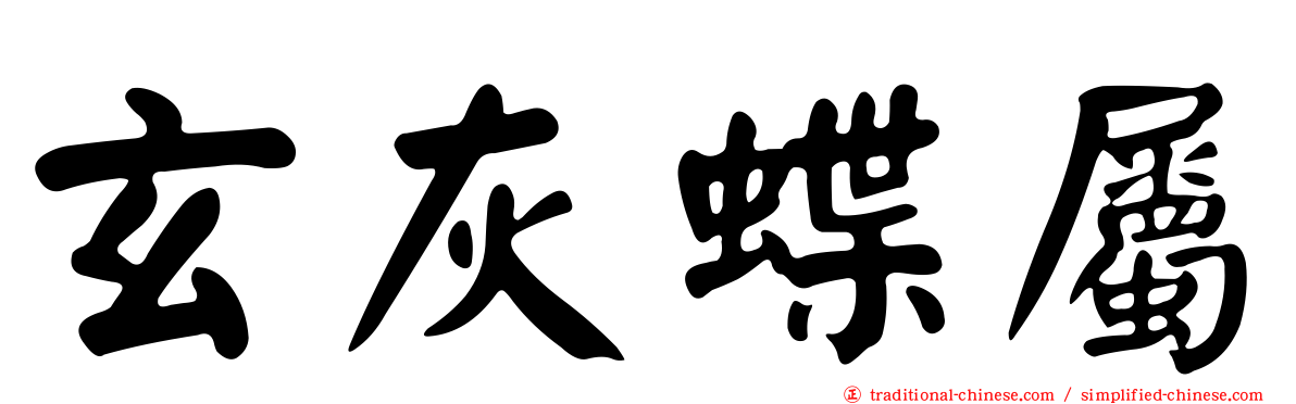 玄灰蝶屬