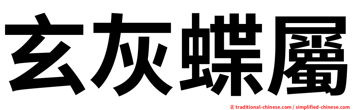 玄灰蝶屬