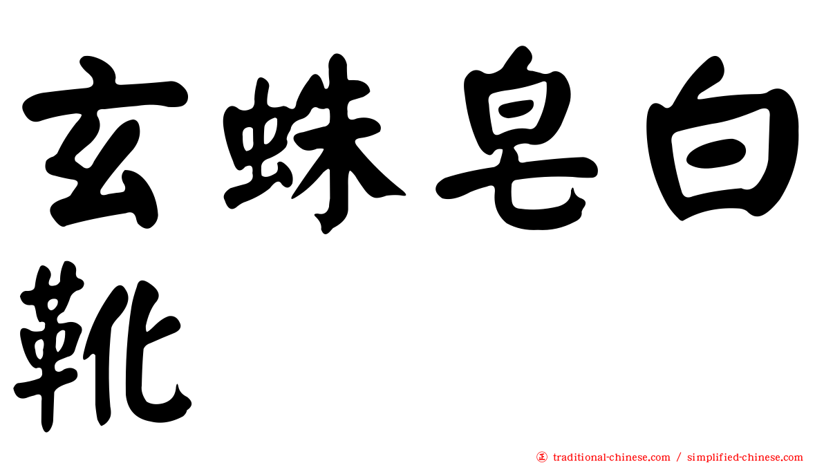 玄蛛皂白靴