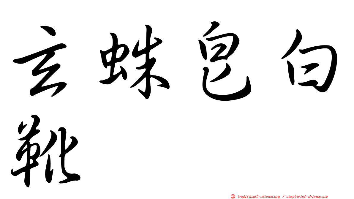 玄蛛皂白靴