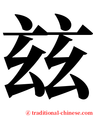 玆 serif font