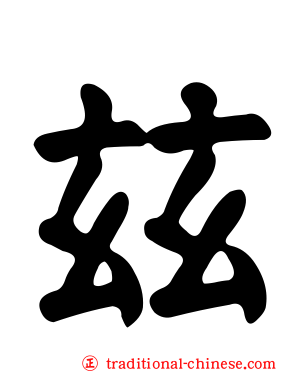 玆