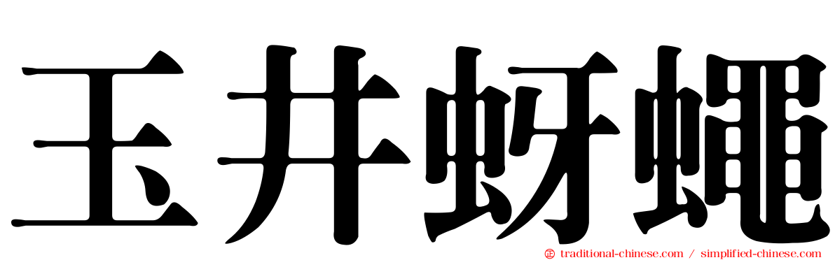 玉井蚜蠅