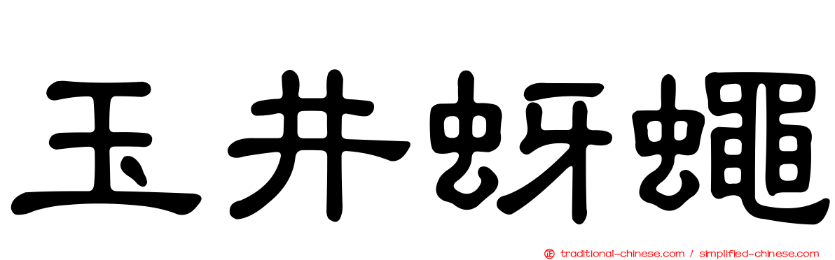 玉井蚜蠅
