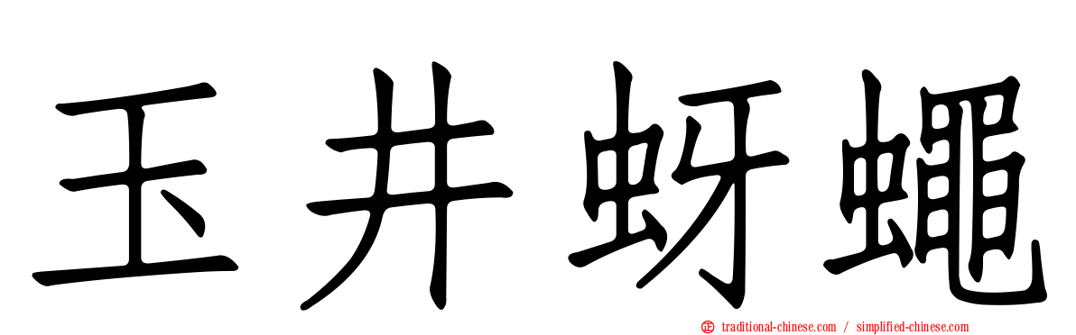 玉井蚜蠅