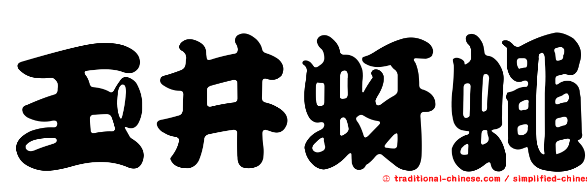 玉井蚜蠅