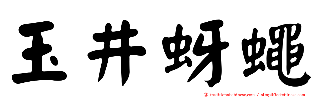 玉井蚜蠅