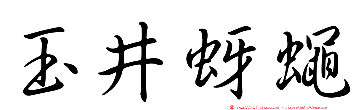 玉井蚜蠅